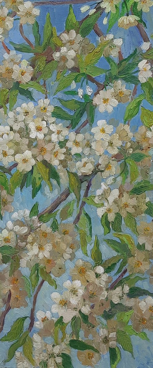 Blossoming pear branches - Original oil painting (2020) by Svetlana Norel