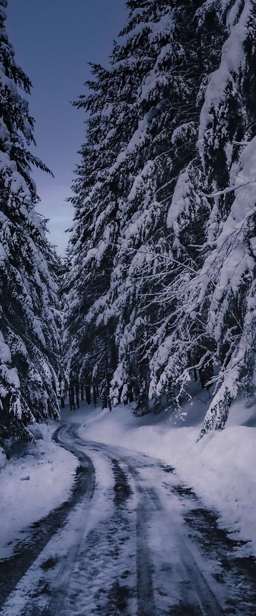 MOUNTAIN ROAD by Fabio Accorrà