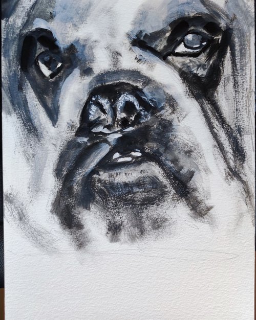 The portrait of English Bulldog by Leonid Kirnus