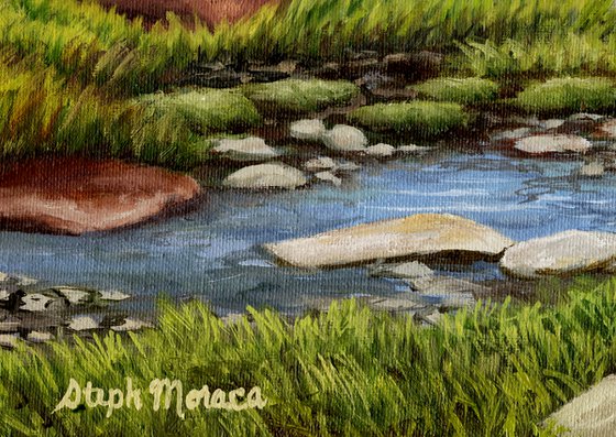 Alpine Pond and Meadow