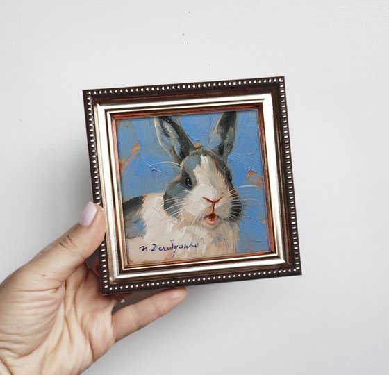 Cute bunny rabbit
