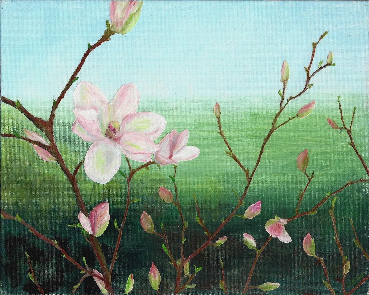 Magnolia hazy by Jing Tian