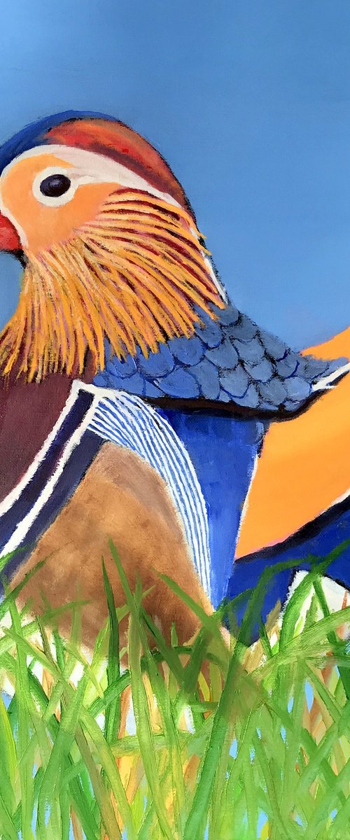 MANDARIN DUCK by Leslie Dannenberg