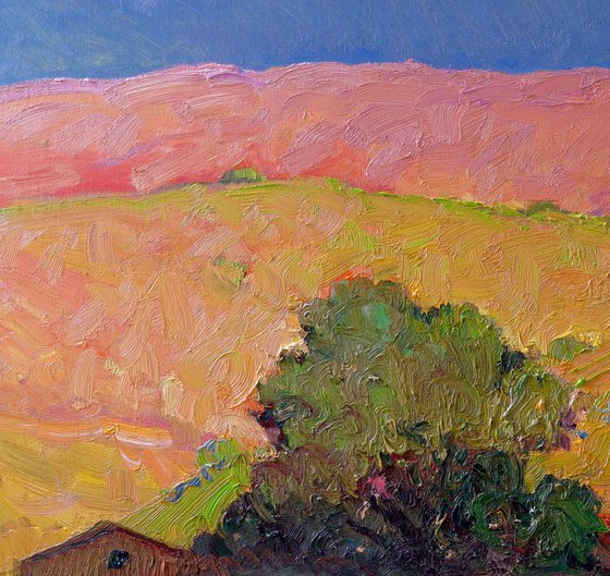 Green Hills and the Light of Evening