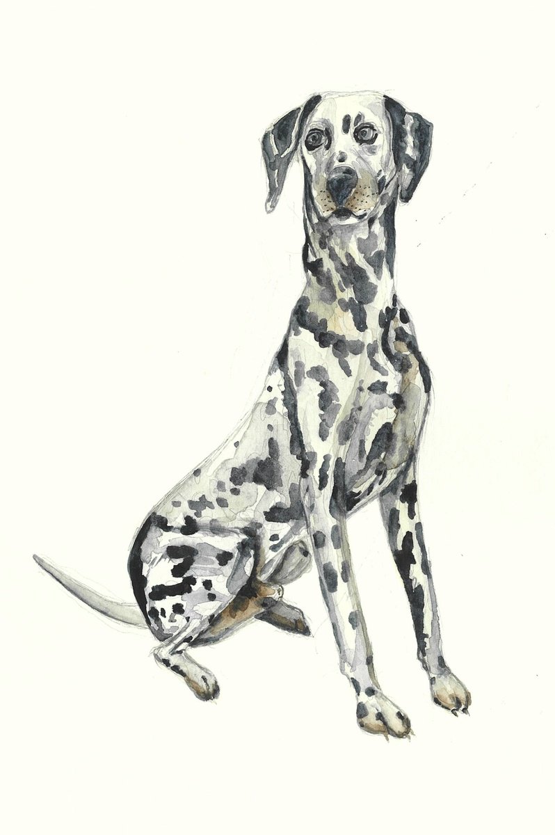 Xeniia Lunina | Original  Watercolour | Spottes Elegance | 20 X 30Cm | Artwork For Sale On Artfinder