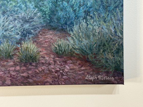 Morning Light in Sedona