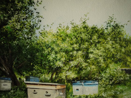 Backyard Bee Hives, Summer Orchard Scenery.