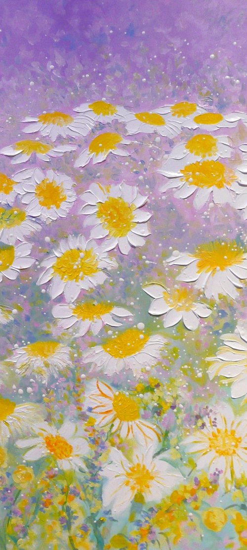 Daisy Meadow 2024 by Lesley Blackburn
