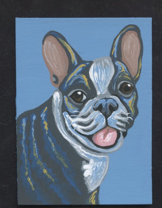 ACEO ATC Original Miniature Painting Blue French Bulldog Pet Dog Art-Carla Smale