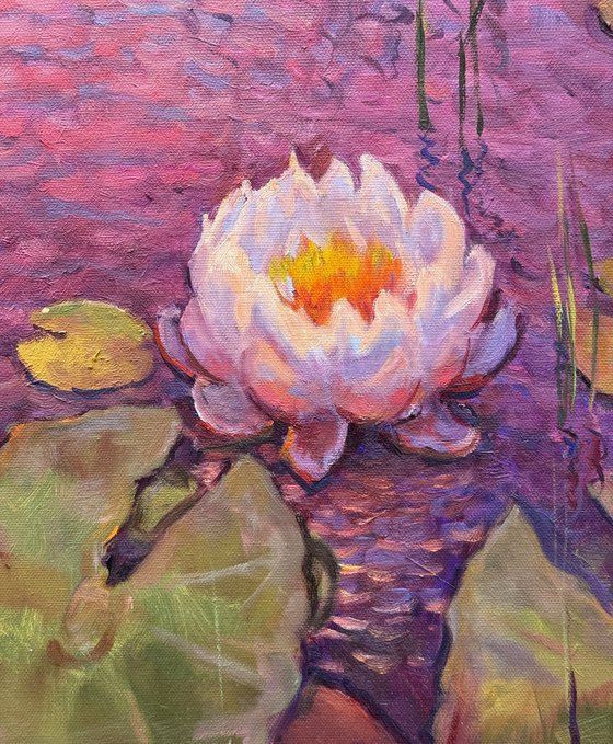 Lily Symphony