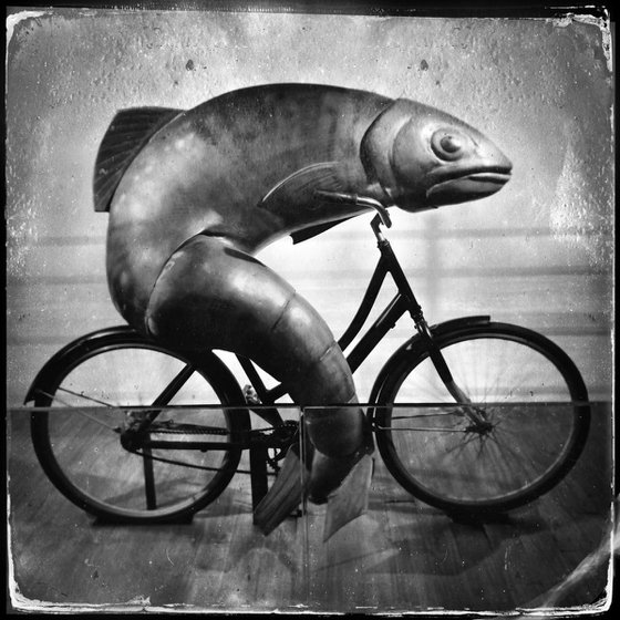 Fish Riding a Bicycle, Dublin, 18th October 2022 (Limited Edition)