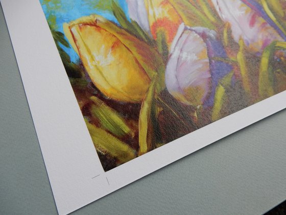 Tulips.
