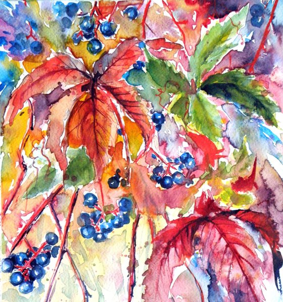 Wildgrapes