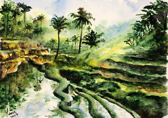 Original Watercolor Bali Nature Fields - Beautiful Artwork - Watercolor Picture - Exotic Art -Home Decor