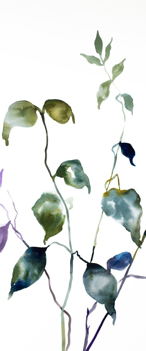 Plant Study No. 59 by Elizabeth Becker