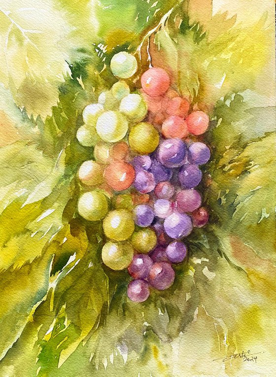 Bunch of Grapes