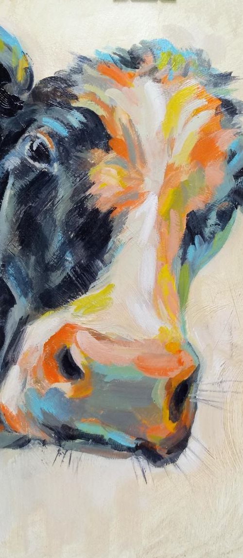 Colorful Cow by Silvia  Vassileva