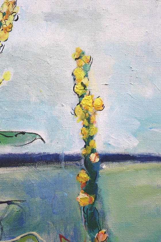 Verbascum