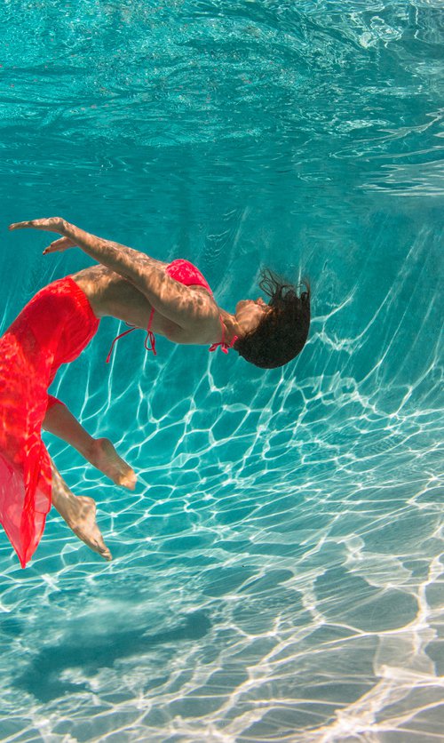 Flurry - underwater photograph - print on paper by Alex Sher