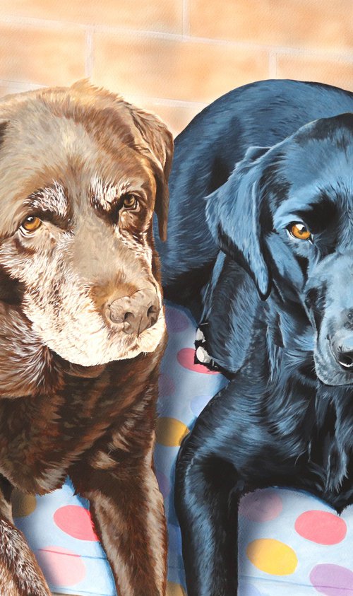 Treacle and Darcy by Julian Wheat