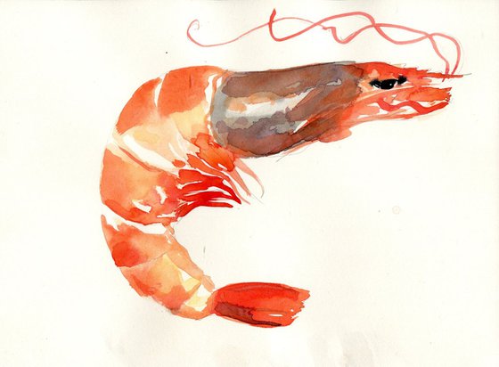 Original Unframed Watercolour Painting of Prawn