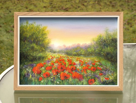 Sunset on the poppy field