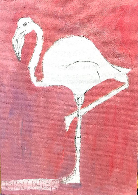 Flamingo