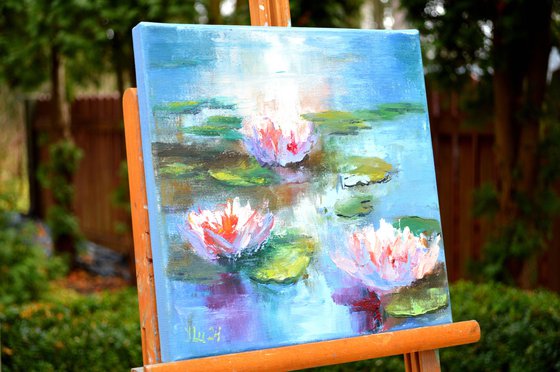 Sunny water lilies