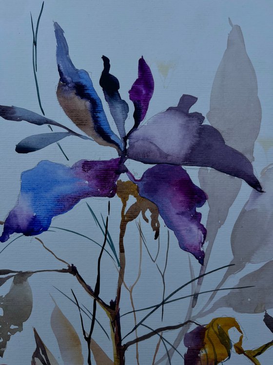Violet Bloom