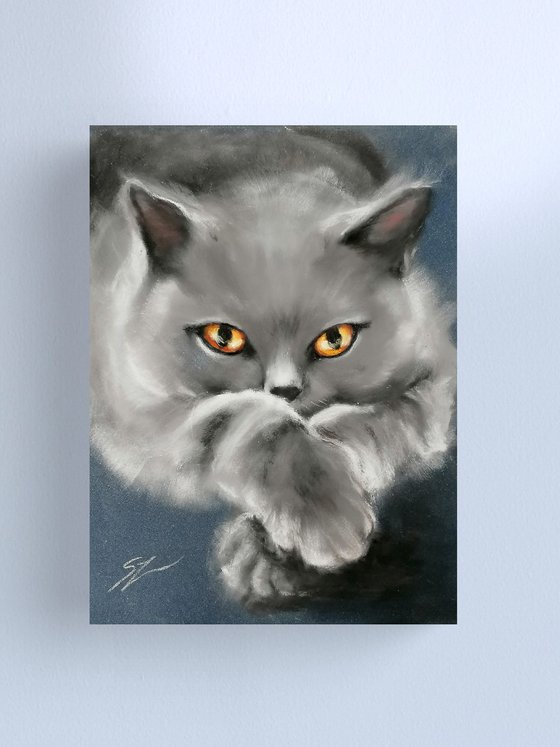 Chartreux