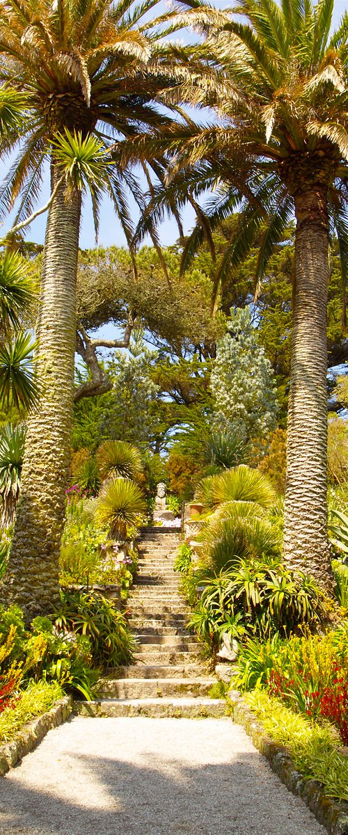 Abbey Gardens, Tresco by Alex Cassels