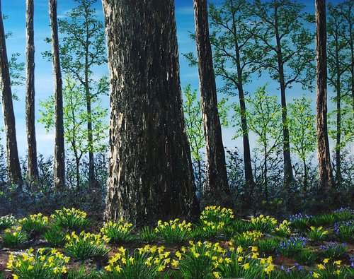 3 Stages Of Spring by Hazel Thomson