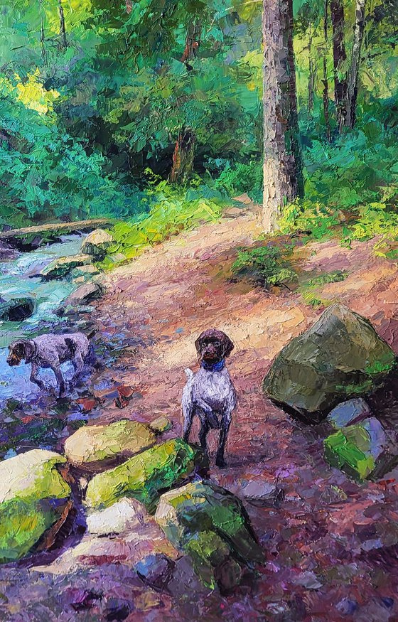 Mountain Stream in the Forest