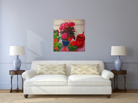 Geraniums and Begonias