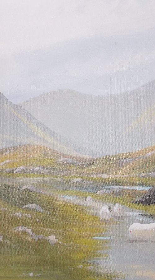 the road to leenane by cathal o malley