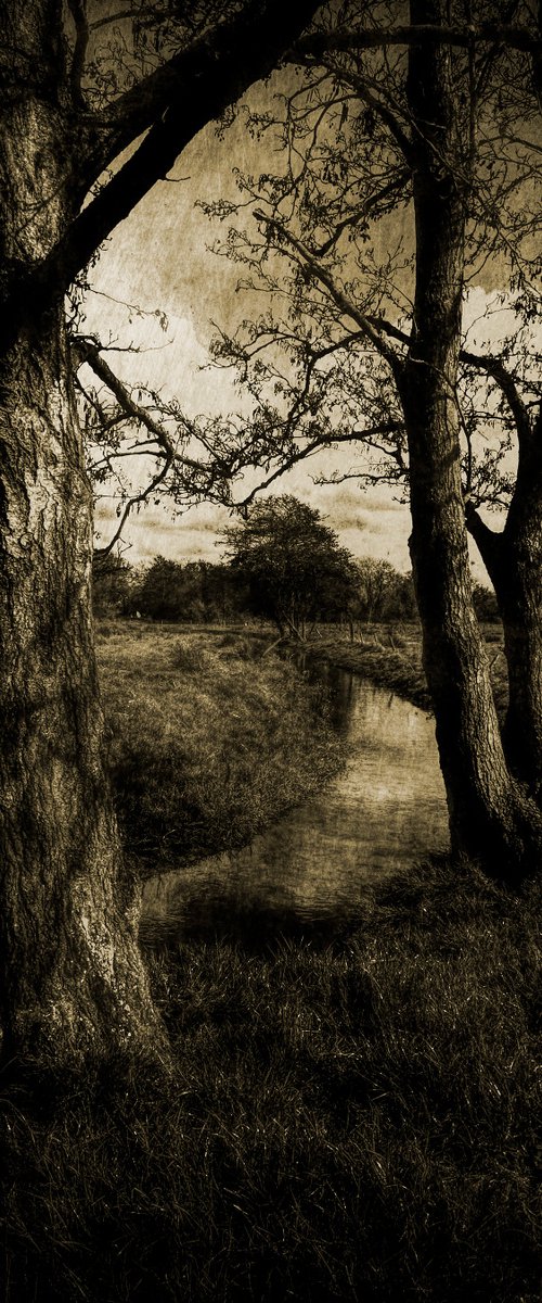The Stream Through the Trees... by Martin  Fry