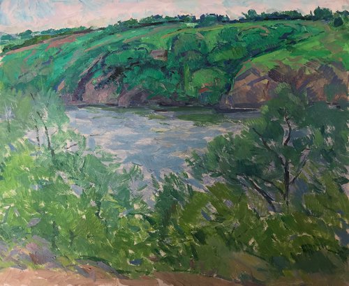 Landscape with a river by Peter Tovpev