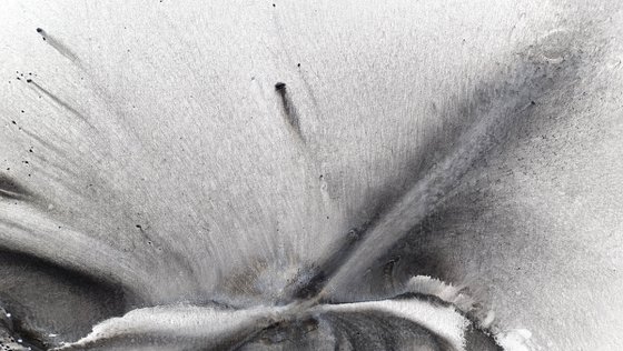 Nature 579 — Abstract Windswept Feather