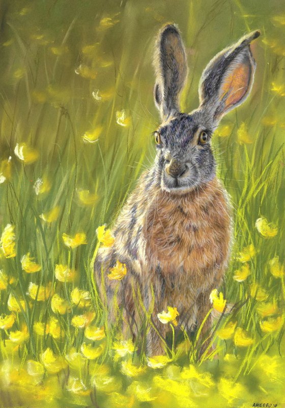 Hare and Buttercups, Wildlife painting in pastels