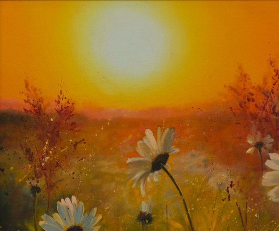 Chamomile Sunset