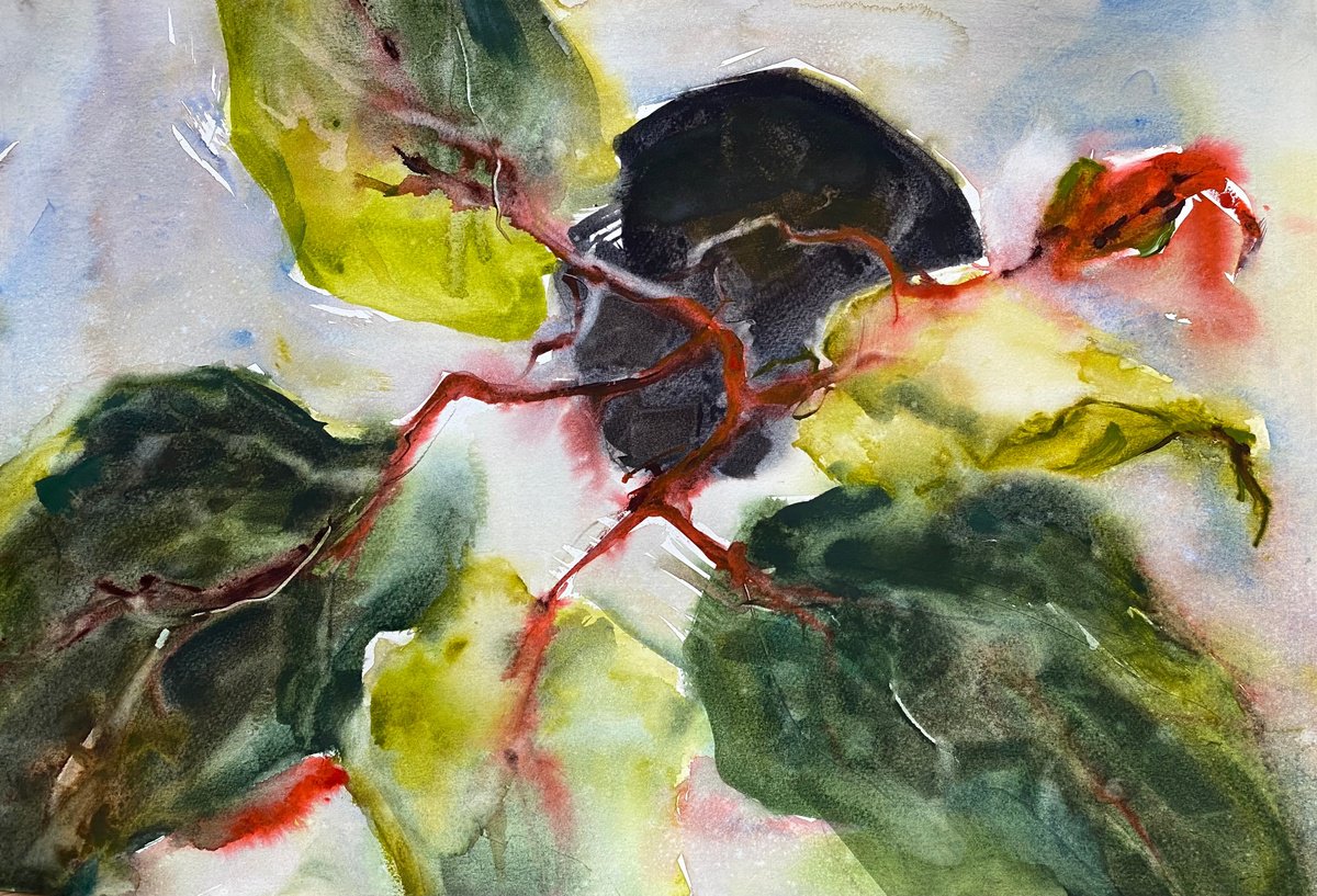 Filodendron 4 - original floral watercolor by Anna Boginskaia