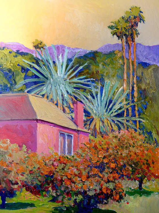 Pink House, Landscape