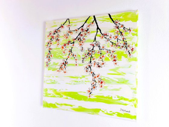 Cherries in the spring 2