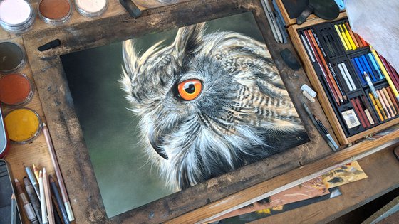Eagle Owl III (Original Pastel Painting)