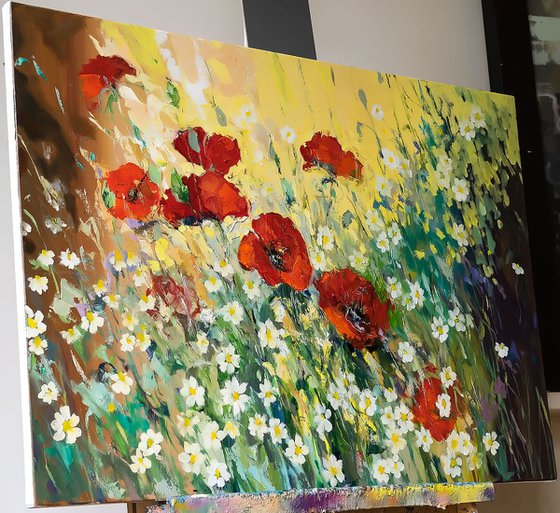 'Poppies and Daisies Meadow'
