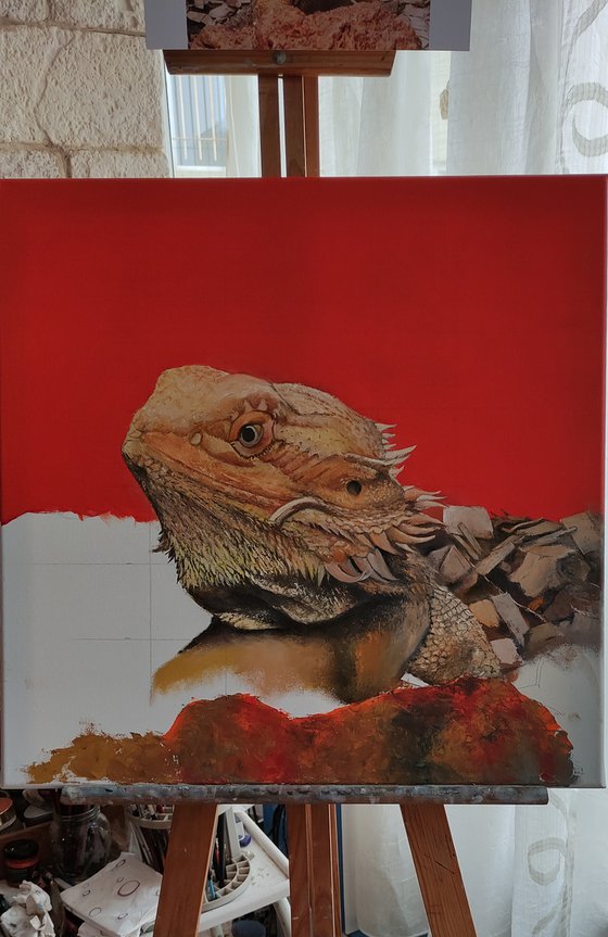 Iguana