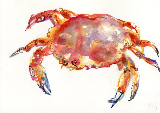 Crab watercolour