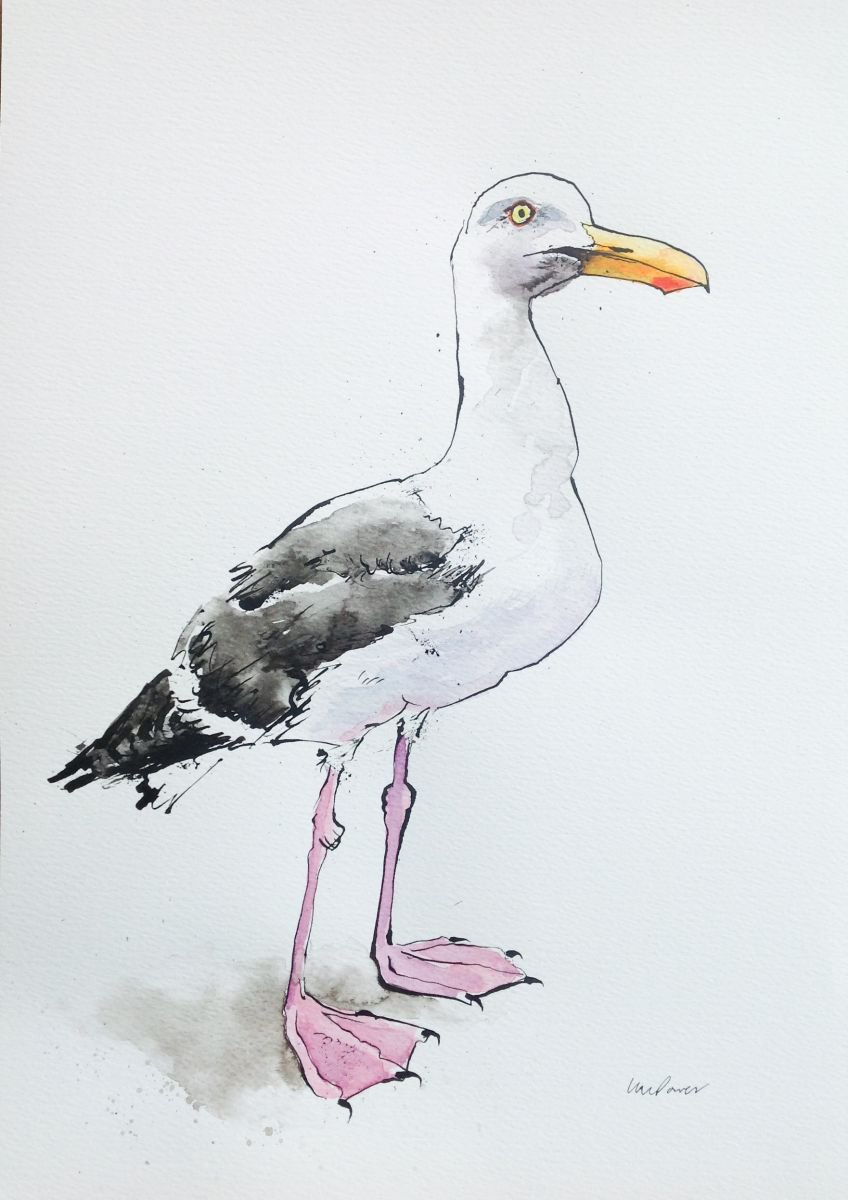 Herring gull - watercolour and ink by Luci Power