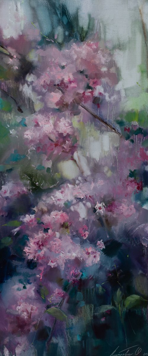 Pink  fireworks by Olha Laptieva