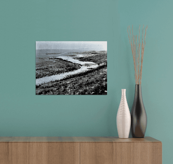 River of reed